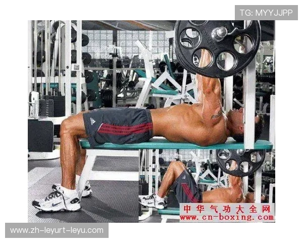 专业锻炼肘关节的健身器材种类及训练技巧