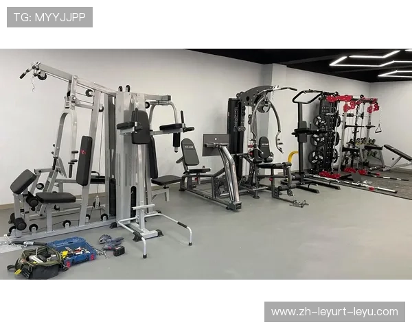 高端健身器材批发:提升健身体验的优质选择