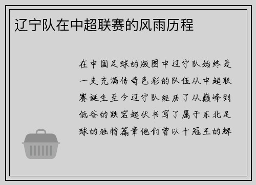 辽宁队在中超联赛的风雨历程